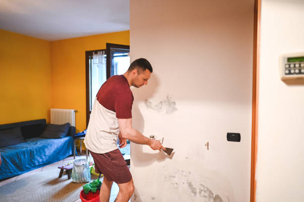 Best Mold Testing and Inspection Services in Pompano Beach, FL